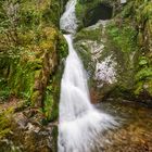 Edelfrauengrab-Wasserfall | Nord-Schwarzwald