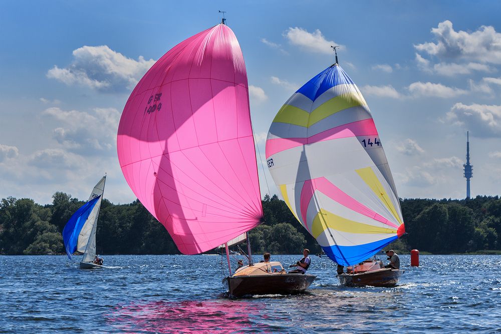 Edelholzregatta auf dem Wannsee