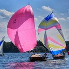 Edelholzregatta auf dem Wannsee