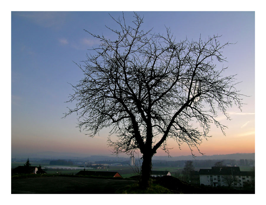 Edelkitsch im Thurtal