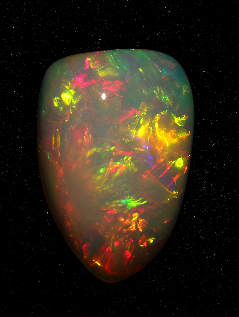 Edelopal