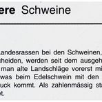 Edelschweine