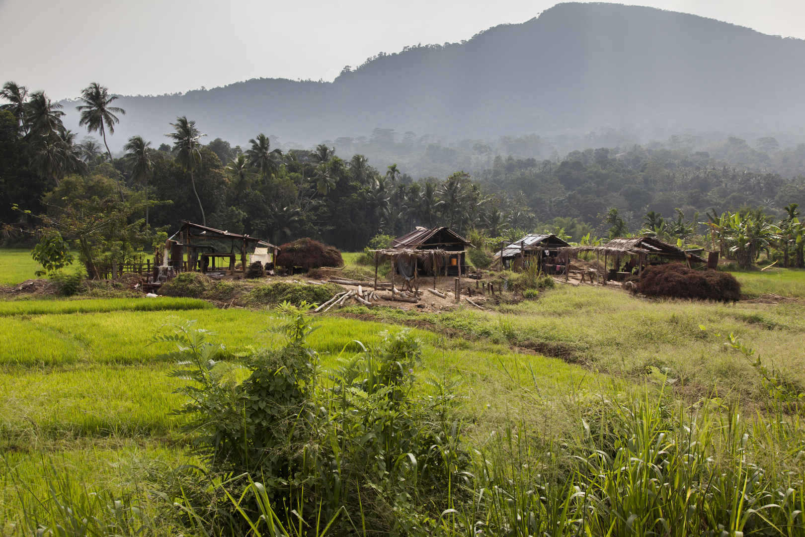 Edelsteinminen in Sri Lanka (1)