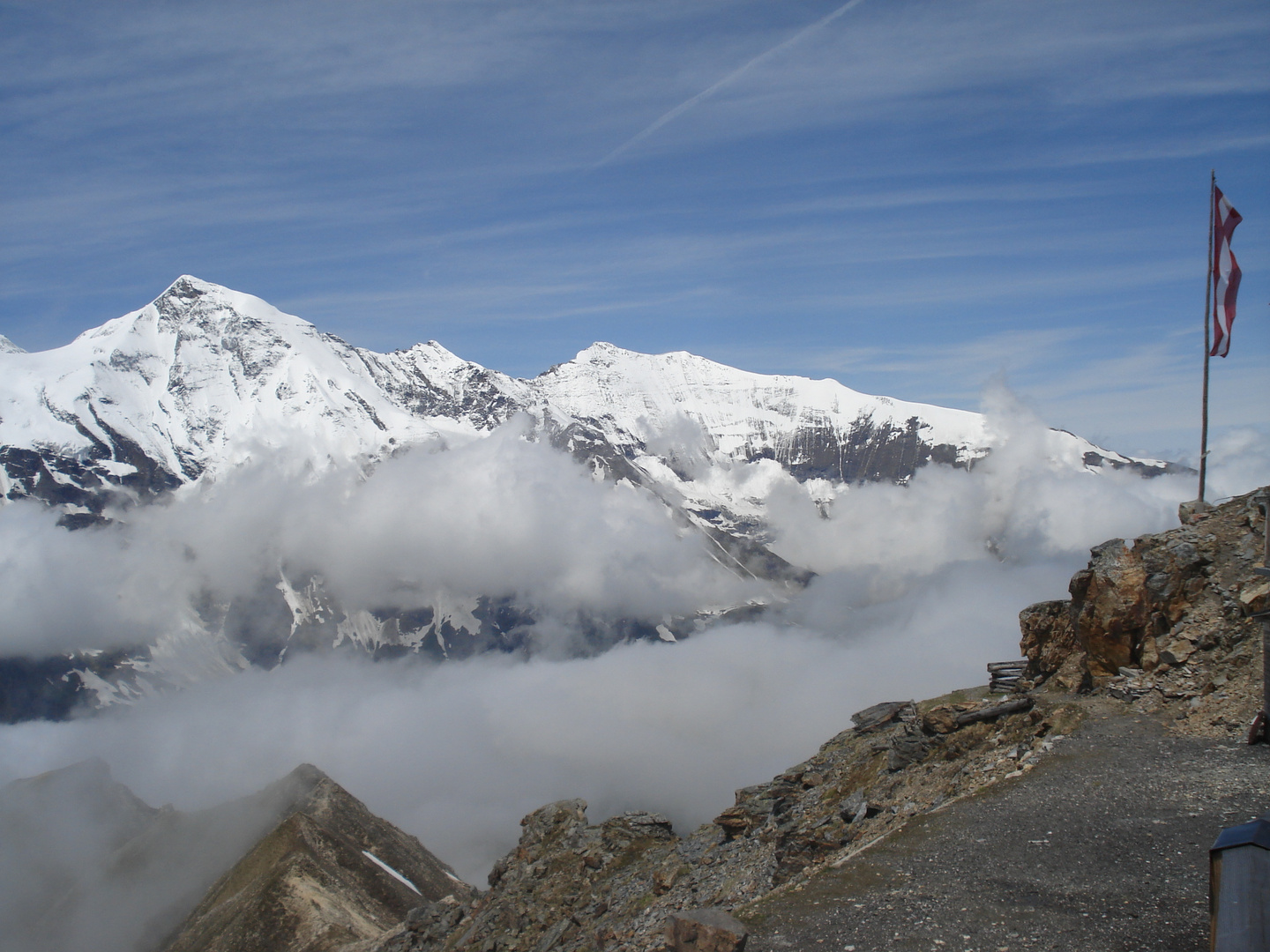 Edelweiß-Spitze