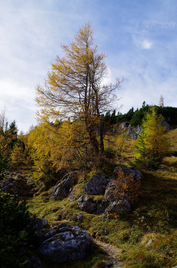 Edelweissboden Oktober 2017