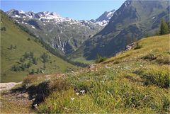 Edelweißwiese, Steinertal und Granatspitzengruppe