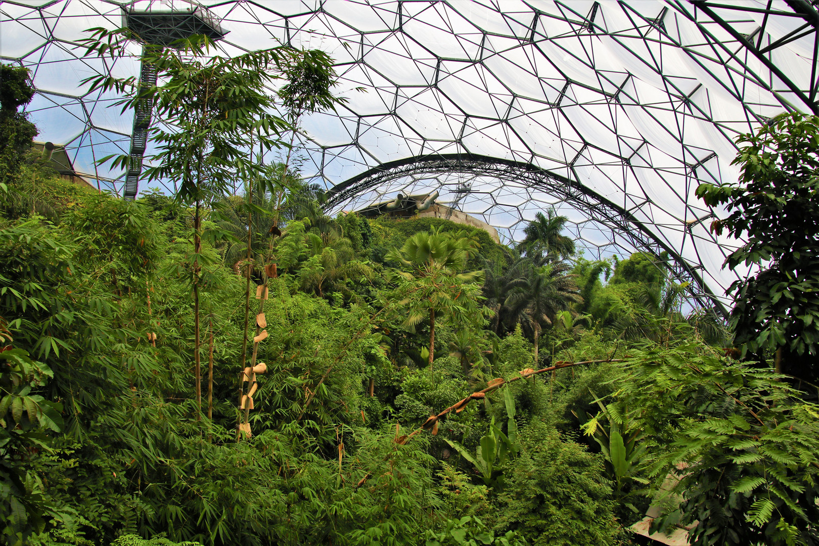 Eden Project