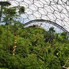 Eden Project