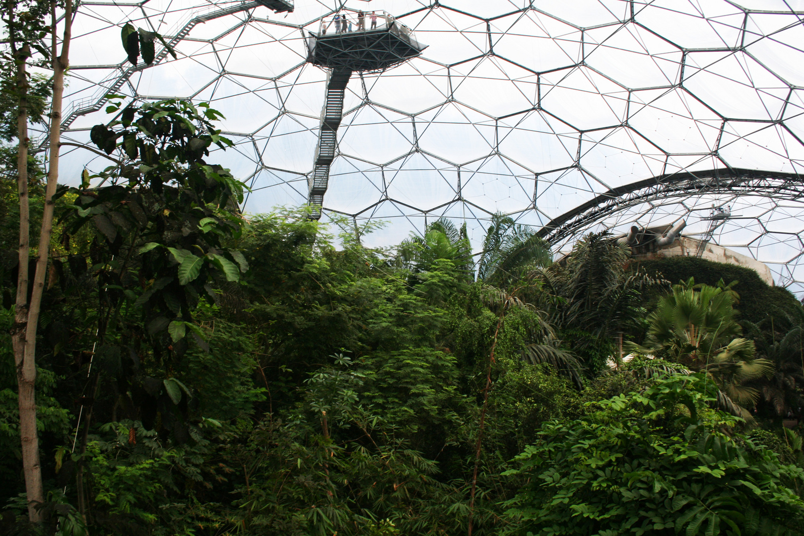 Eden Project - 2013 (1)