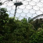 Eden Project - 2013 (1)