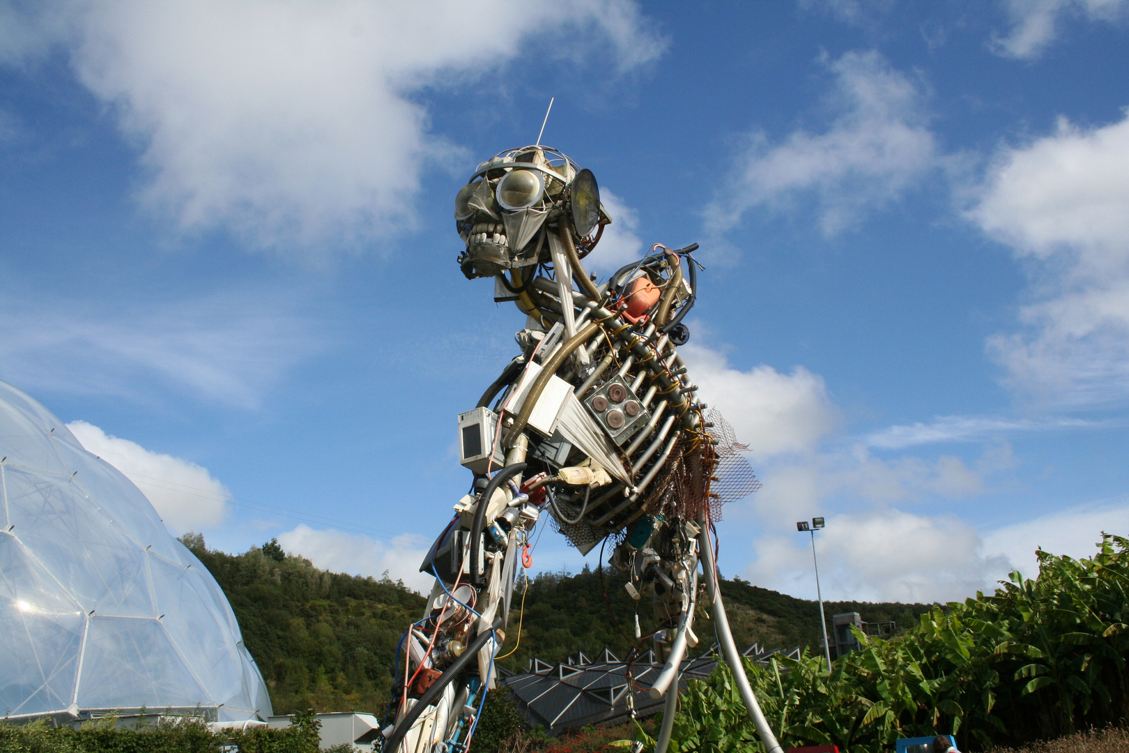 Eden Project - 2013 (2)