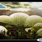 EDEN PROJECT