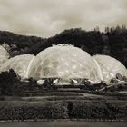 eden project