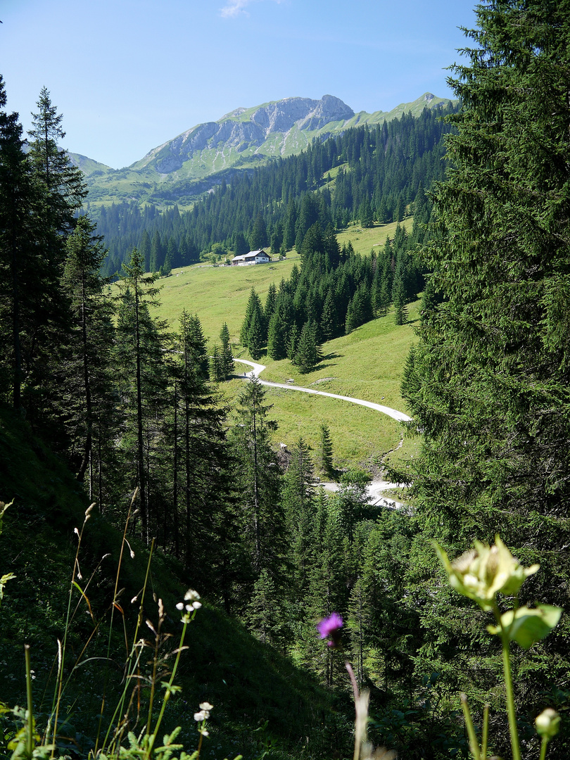 Edenalpe