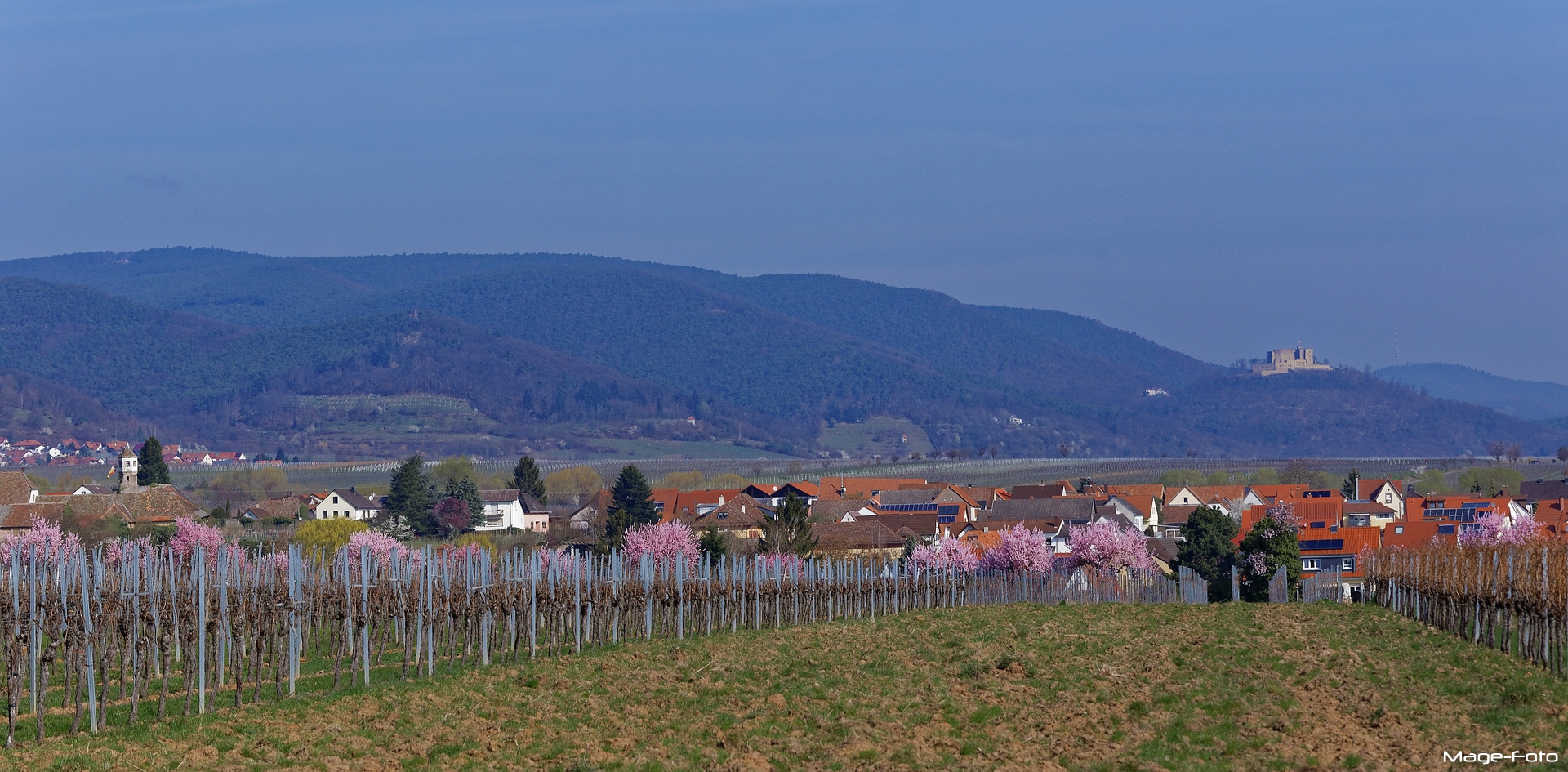 Edenkoben und Hambacher Schloss