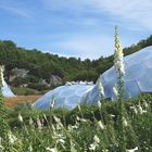 Edenproject (Cornwall)