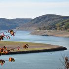 Edersee