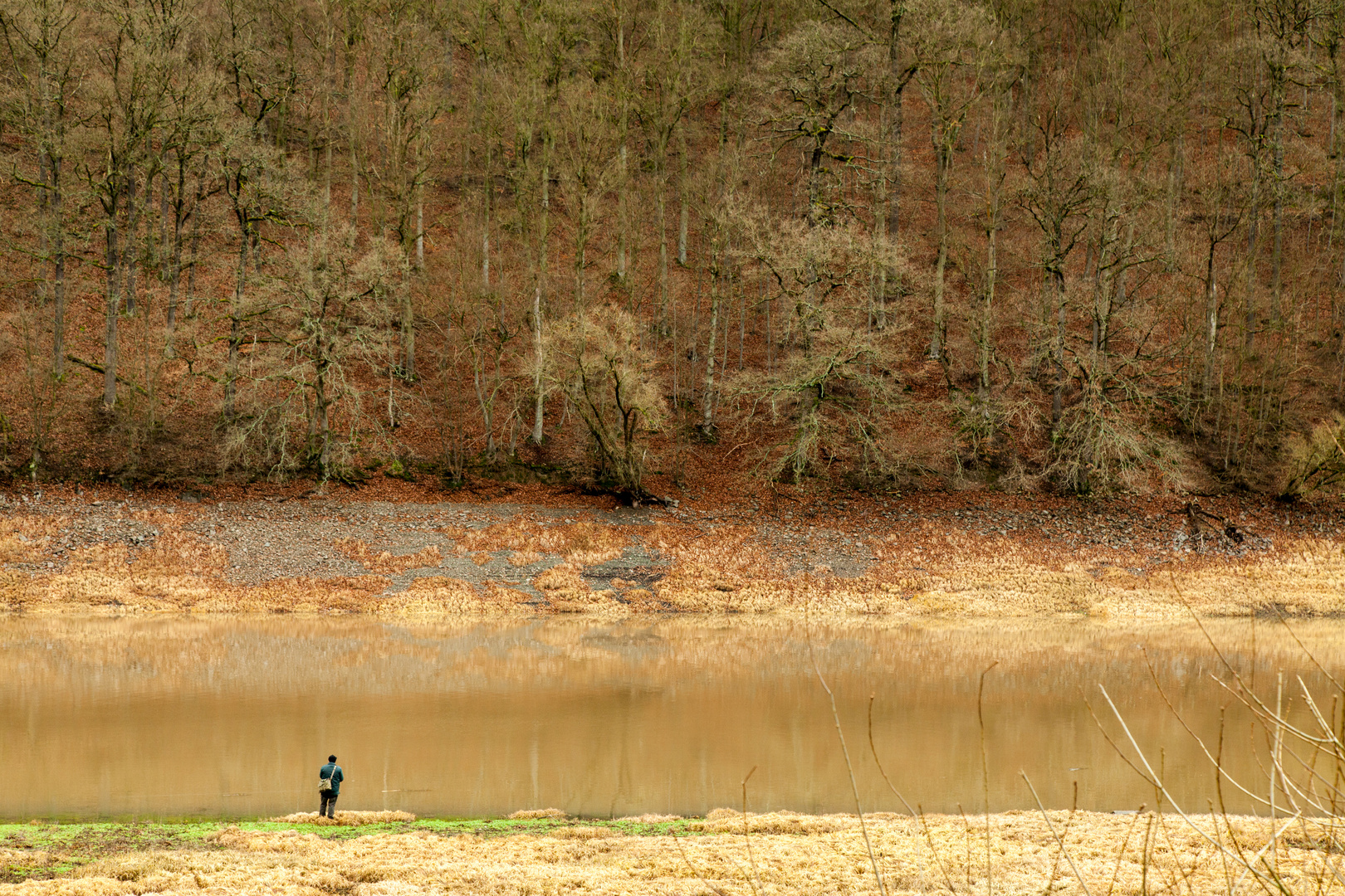 Edersee Herbstangler