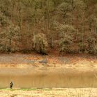 Edersee Herbstangler