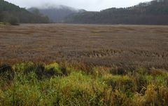 Edersee-Herbstfarben