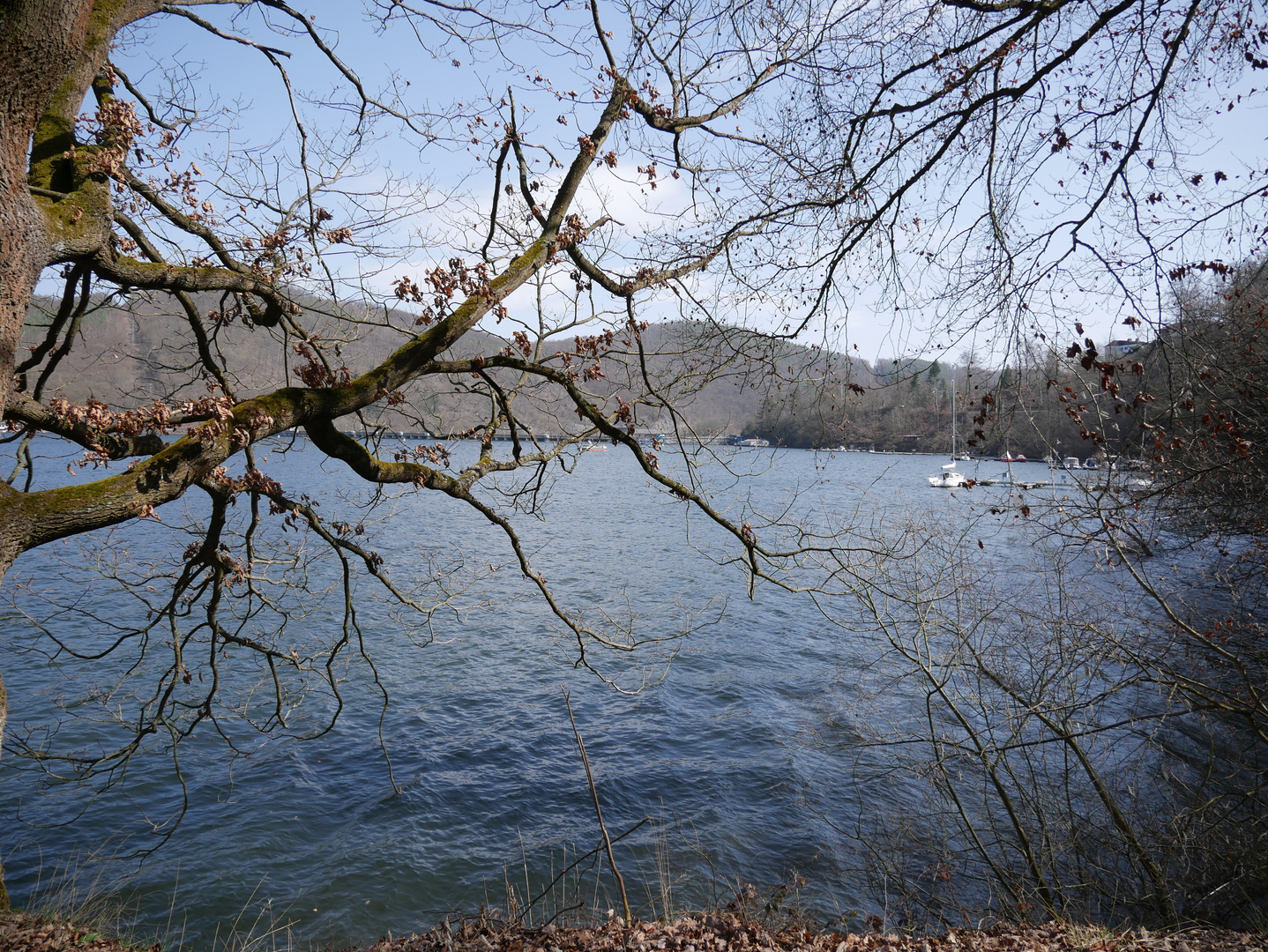 Edersee im Frühjahr