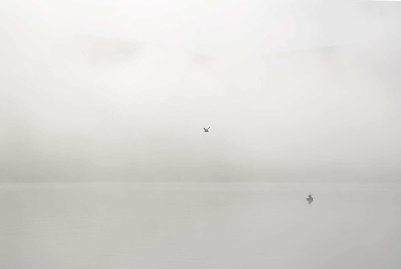 Edersee im Nebel