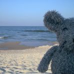 Edgar am Strand von Usedom