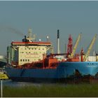 EDGAR MAERSK / Oil/chemical Tanker / Calandkanal / Europoort / Rotterdam