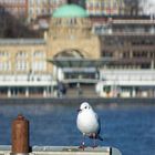 edgar und die Landungsbrücken