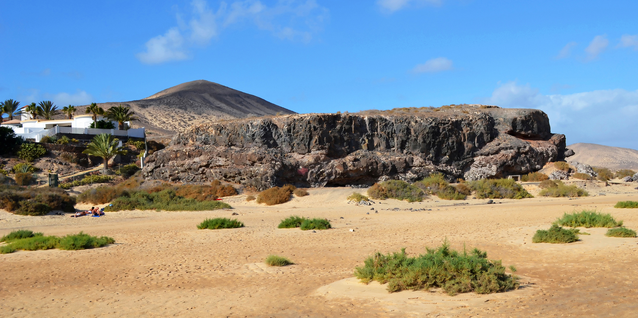 Edge of lava flow