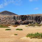 Edge of lava flow