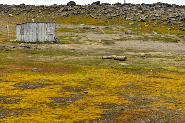 Edgeröya, Diskobukta.           DSC_7288 - Kopie