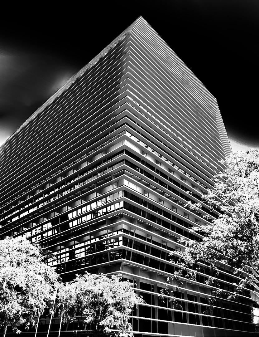 edifici poblo nou