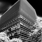 edifici poblo nou