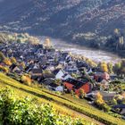 Ediger an der Mosel