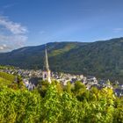 Ediger Blick auf die Sankt Martinus Kirche