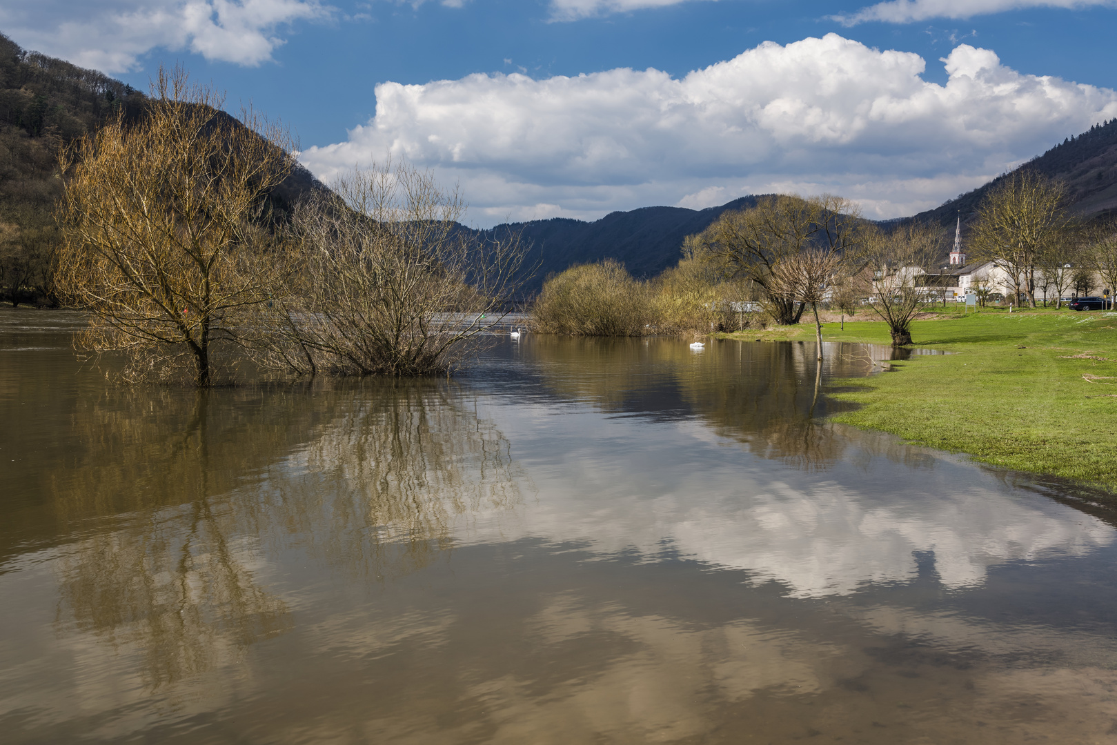 *Ediger-Eller & Mosel*