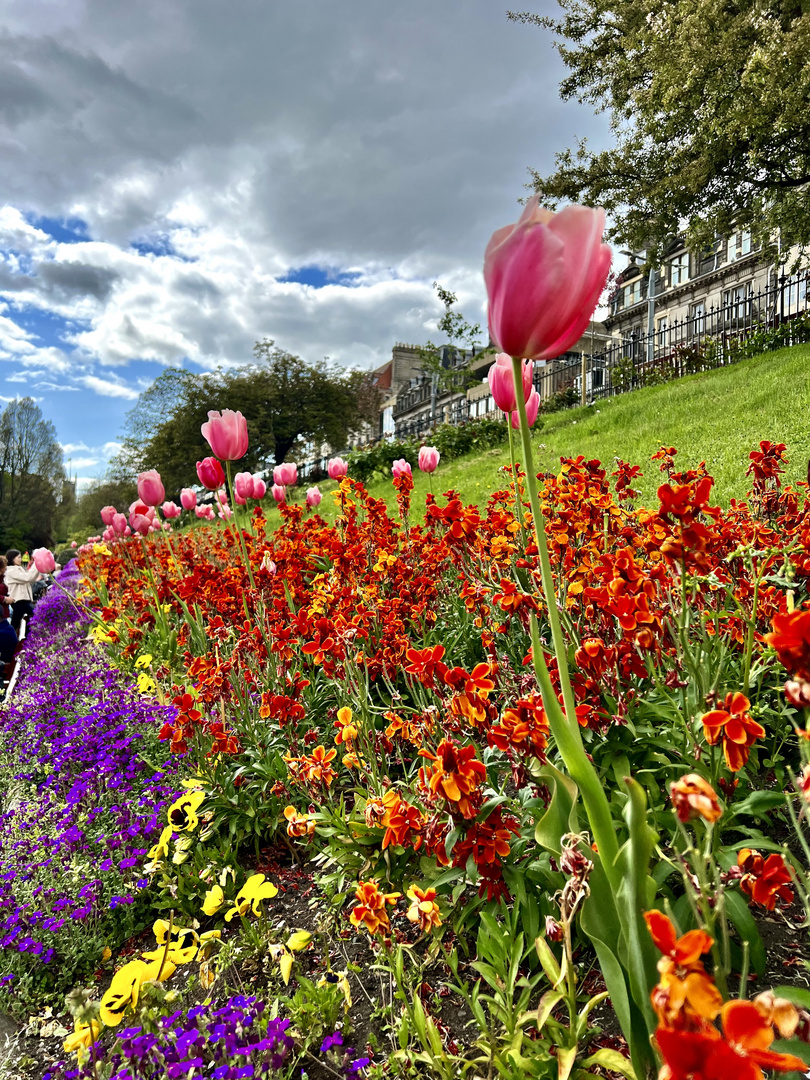 Edinburgh im Mai