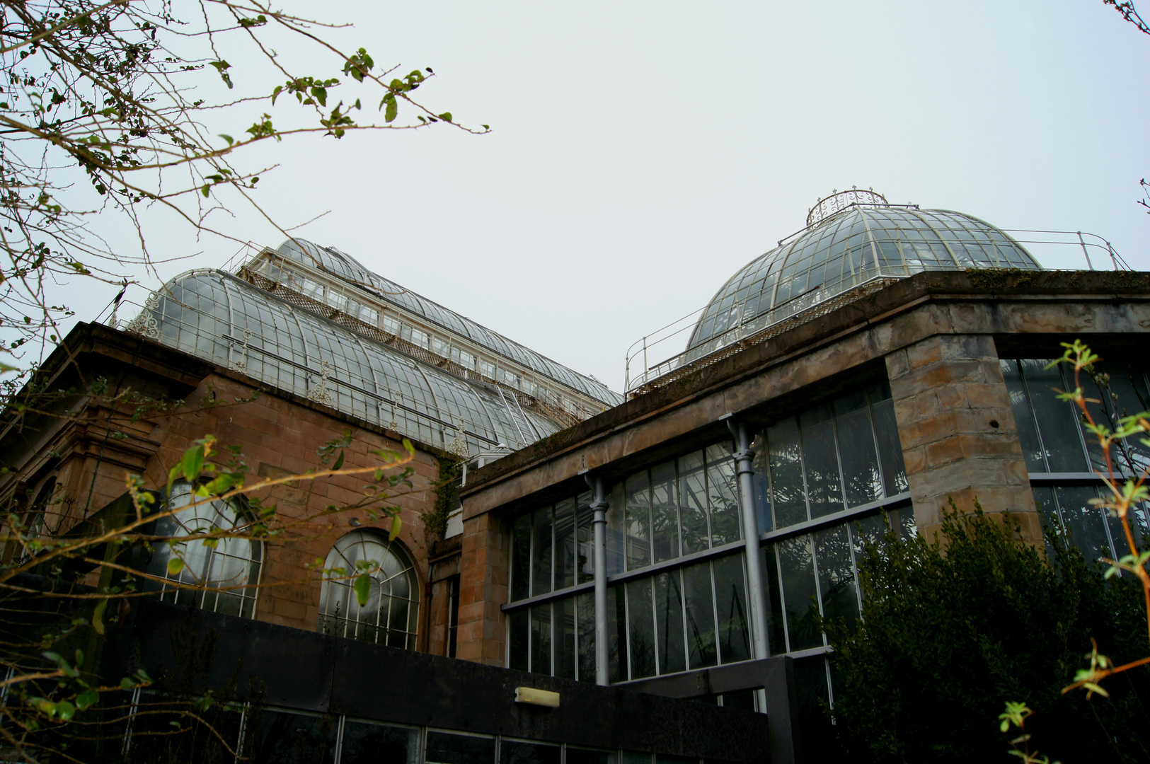 Edinburgh,  Royal Botanic Garden (2018)