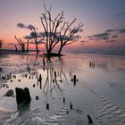 Edisto Beach