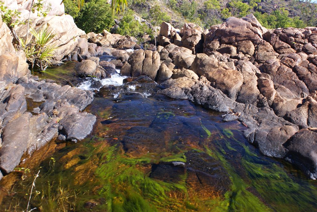 Edith Falls Litchfield NP Nothern Territory Australia,