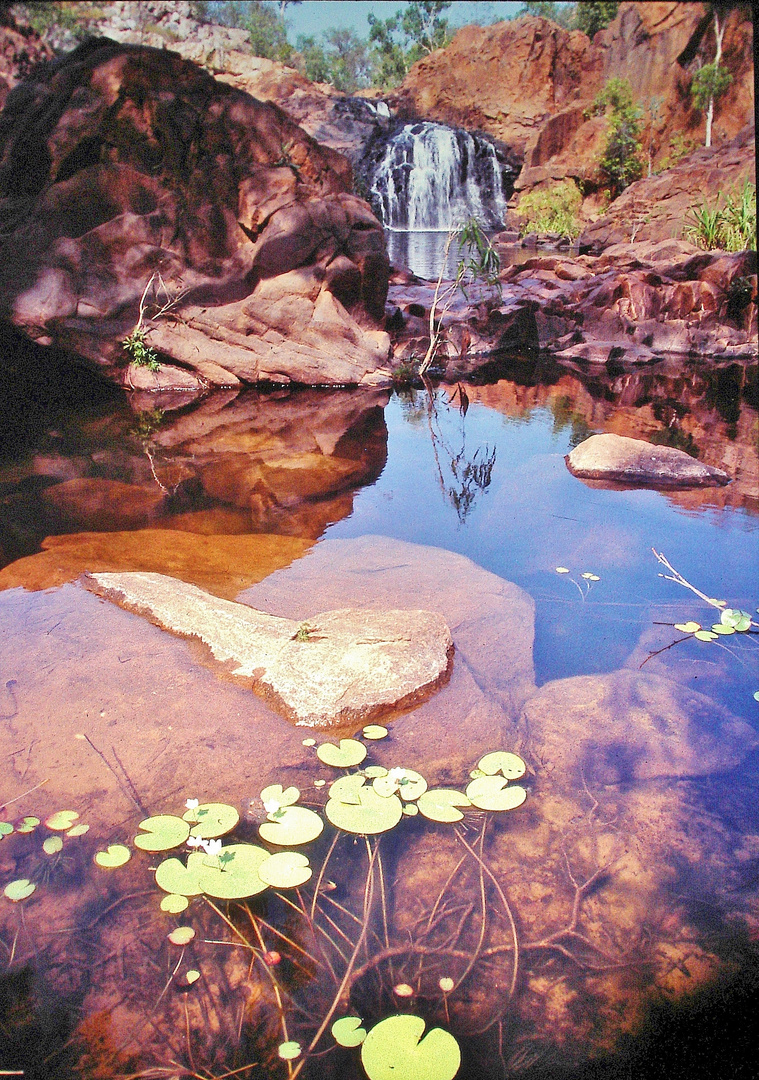 Edith Falls ,Northern Territory Australia