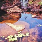 Edith Falls ,Northern Territory Australia