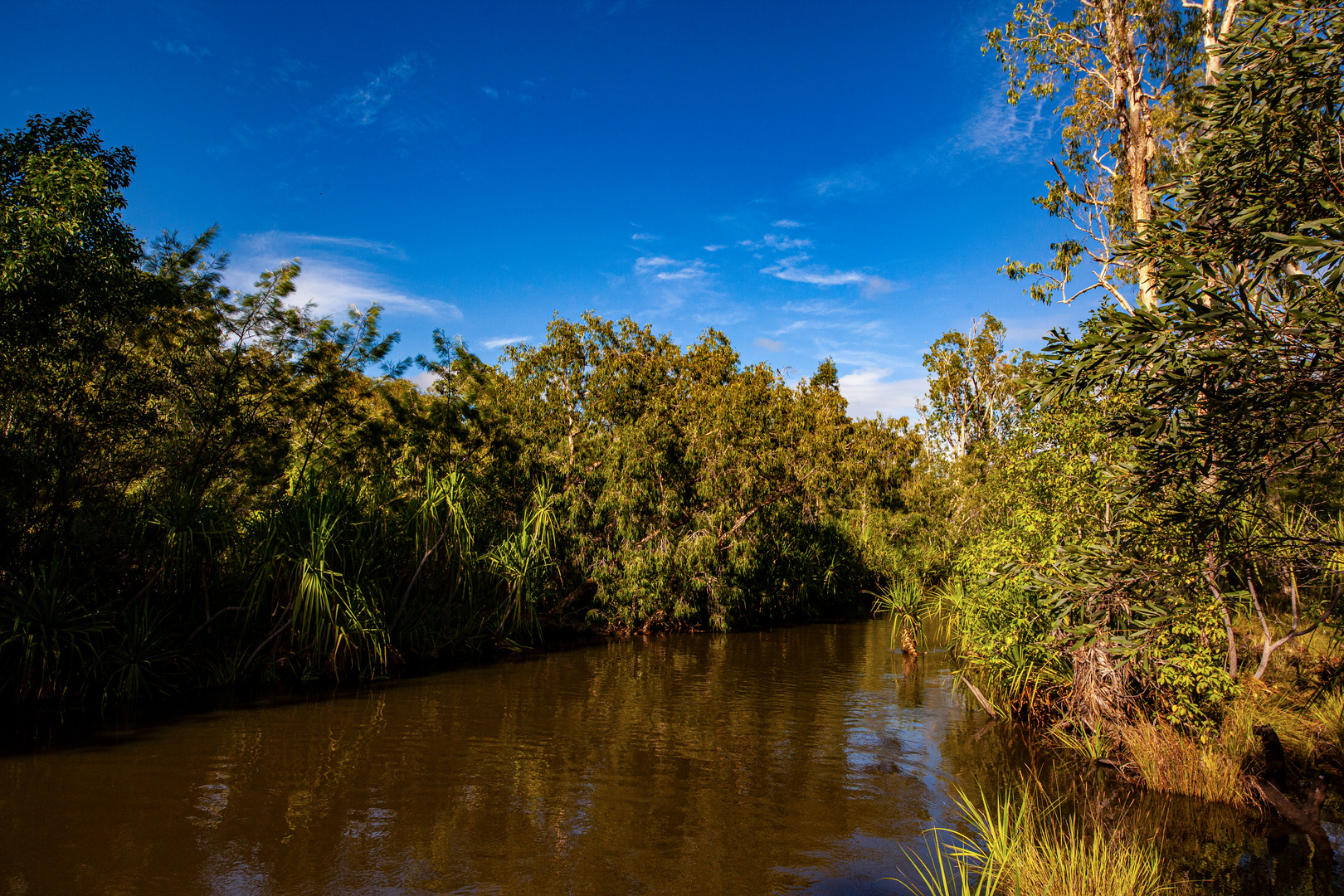 Edith River