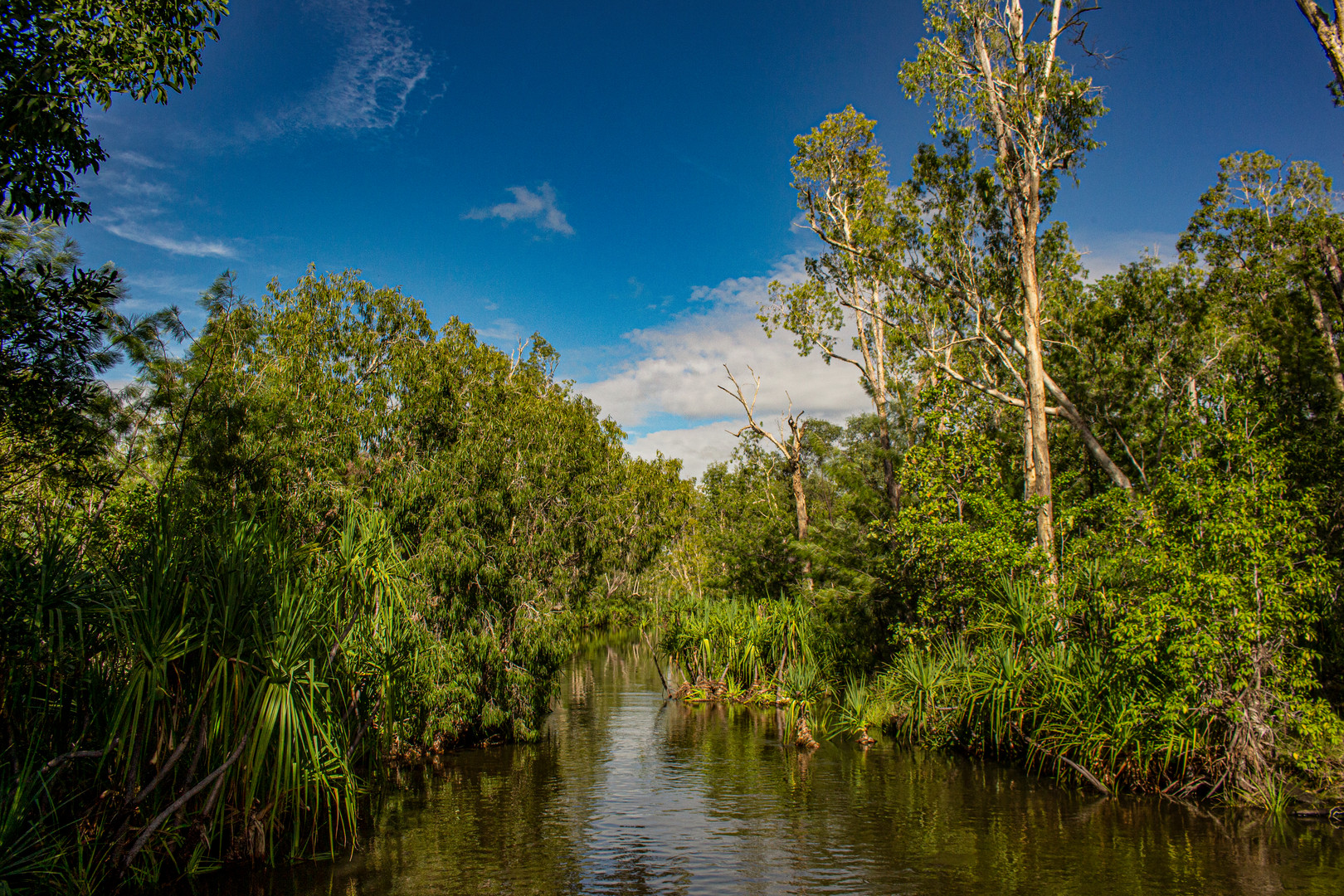 Edith River