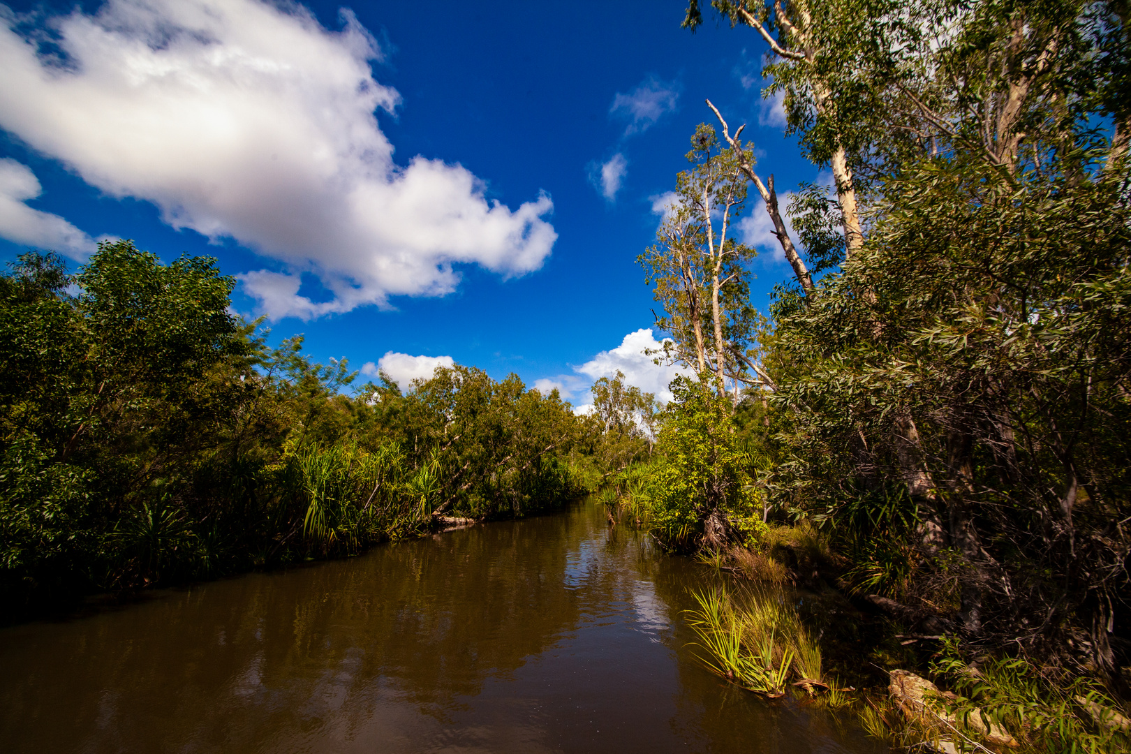 Edith River