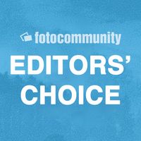 Editors' Choice