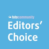 Editors' Choice