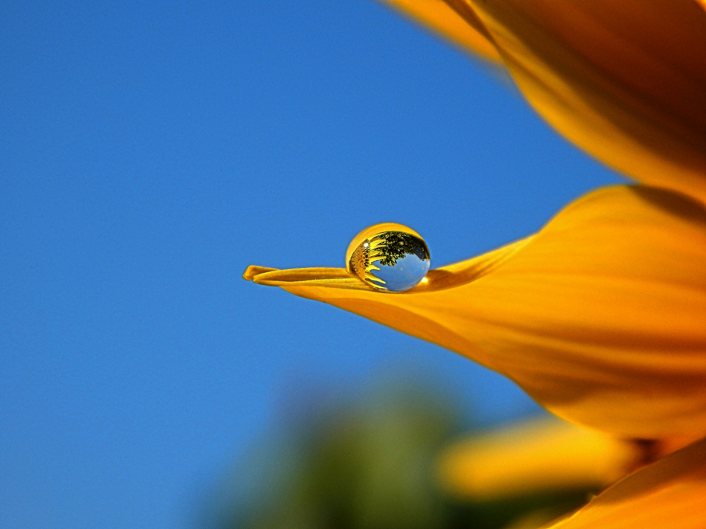 Edler Wassertropfen