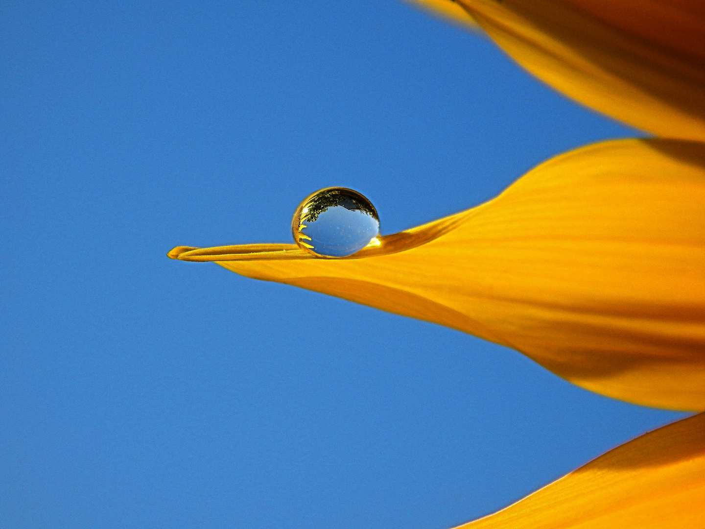 Edler Wassertropfen